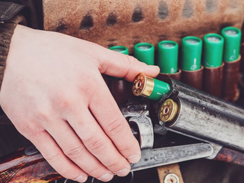 Zdroj: mesačn&aacute; spr&aacute;va FACE