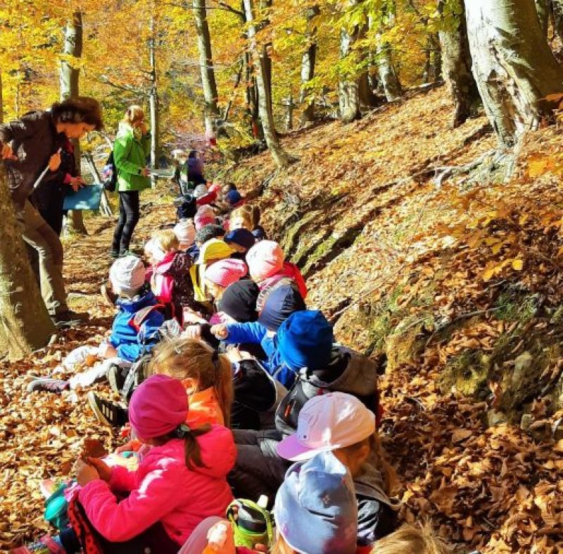 Ilustračné foto: Národné lesnícke centrum 