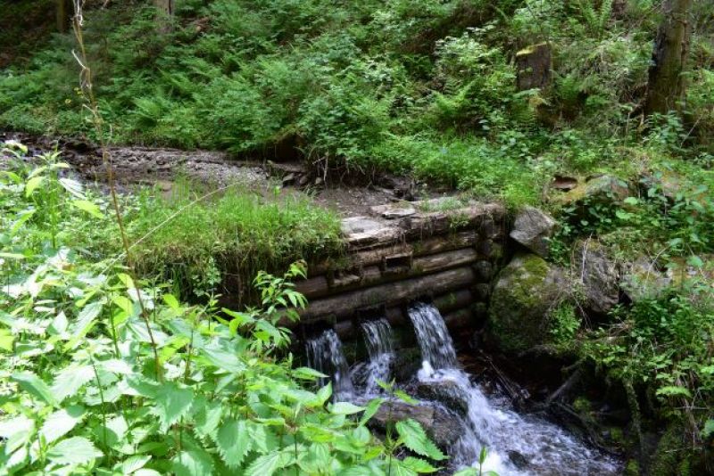 Prehrádzka vybudovaná a udržiavaná štátnymi lesníkmi z Čierneho Balogu