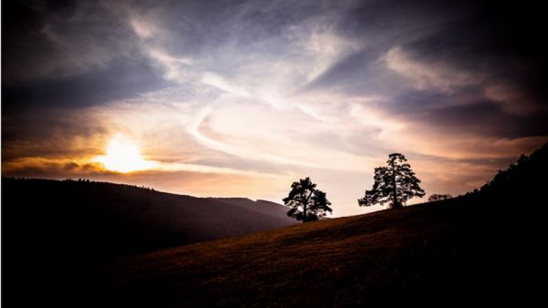 Ceny sú rozdané: zvíťazil Mountain Sunset