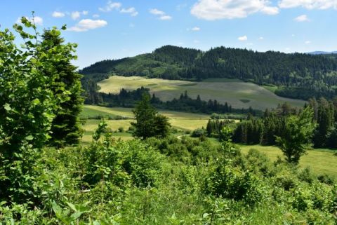 Polia a lesy vidieckej krajiny Spišskej Magury