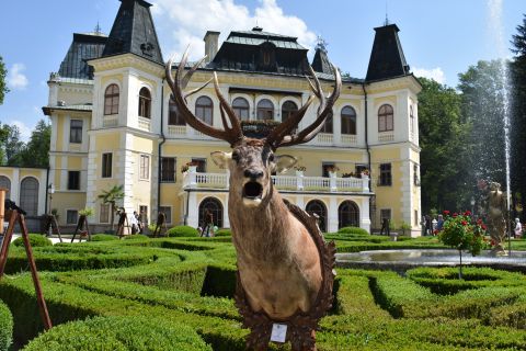 Z výstavy poľovníckych trofejí v Betliari