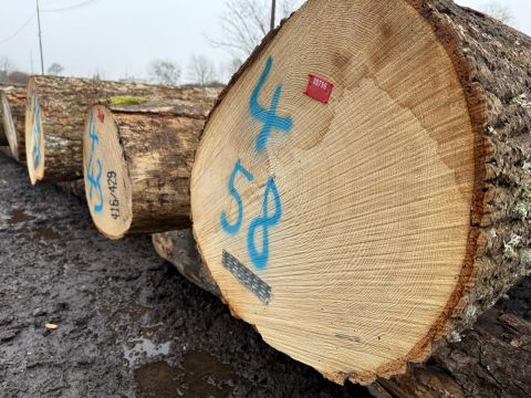 Zdroj: Internetová stránka LESY SR 