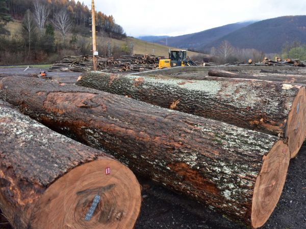 Ilustračné foto: Jozef Marko 