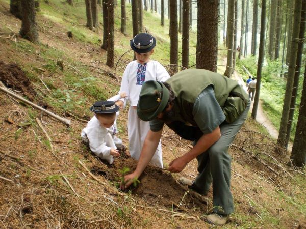 Iôustračné foto: FB stránka Národného lesníckeho centra 