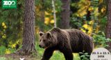Deň lesov bude v ZOO