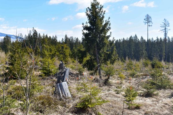 Ilustračné foto: Jozef Marko 