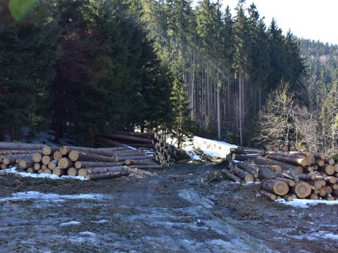 Ilustračné foto: Jozef Marko 