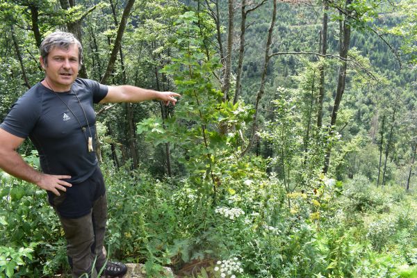 Ing. R&oacute;bert Gomb&aacute;rik v ter&eacute;ne