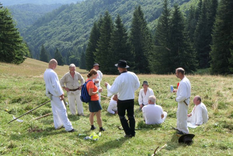 Les, ktor&yacute; vydrž&iacute; viac: ako reagovať na sucho a extr&eacute;my v praxi