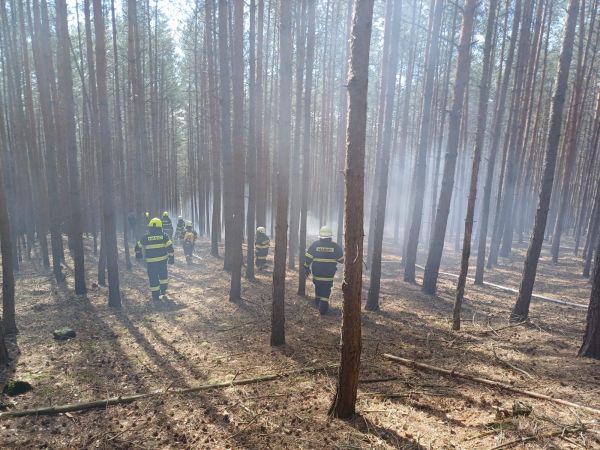 Zdroj: Internetová stránka Lesy ČR