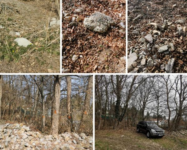 Foto: Ingrid Vanerková 