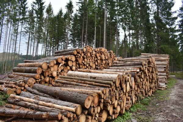 Ilustračn&eacute; foto Jozef Marko