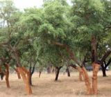 Korok do 3D tlačiarn&iacute;