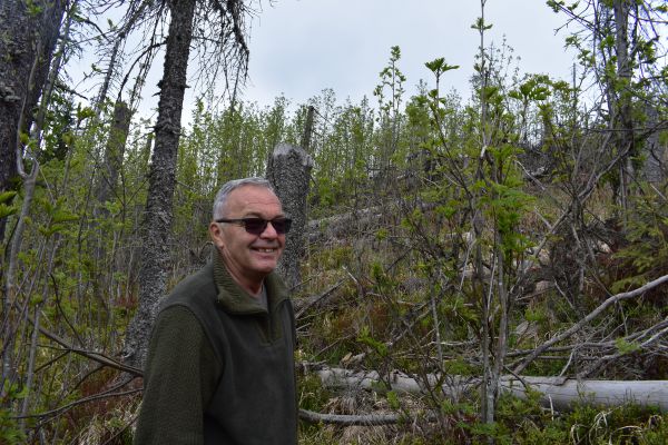 Ing. Ján Švančara (na fotografii na Fabovej holi) hovorí, že na týchto miestach bývali tokaniská hlucháňa