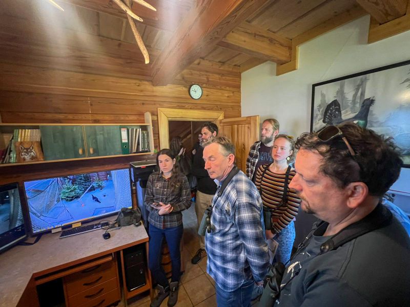 Lesy ČR o záchrannom programe hlucháňa hôrneho v Beskydoch: Špeciálnu metodiku chovu ocenili zoológovia z celej Európy