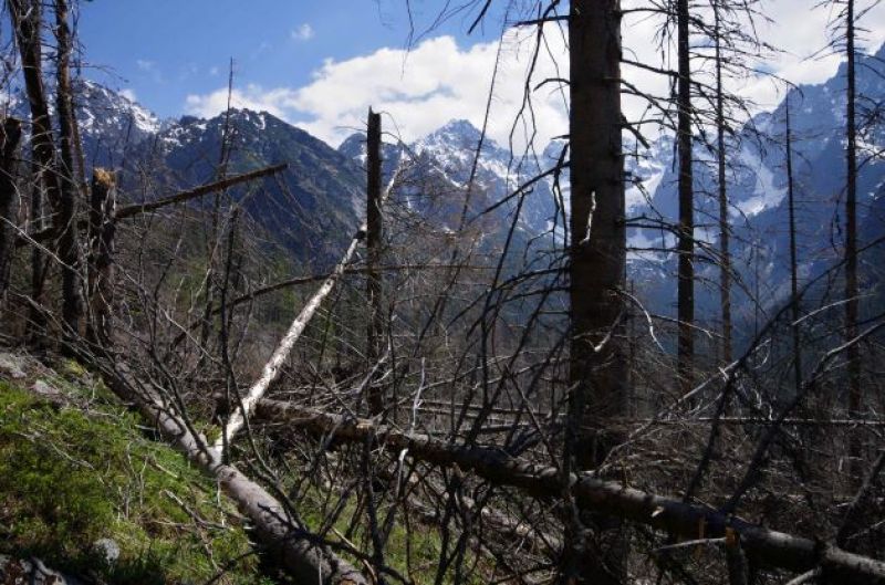 Erózia v Národnej prírodnej rezervácii Bielovodská dolina v TANAP-e v dôsledku bezzásahu v roku 2016