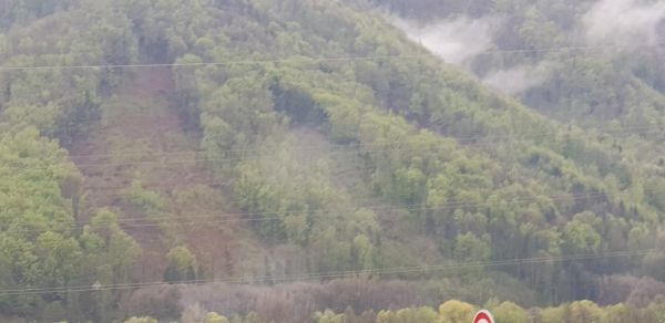 Maloplo&scaron;n&yacute; clonn&yacute; rub 