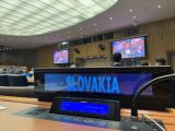 Zdroj: Internetov&aacute; str&aacute;nka MPaRV SR 