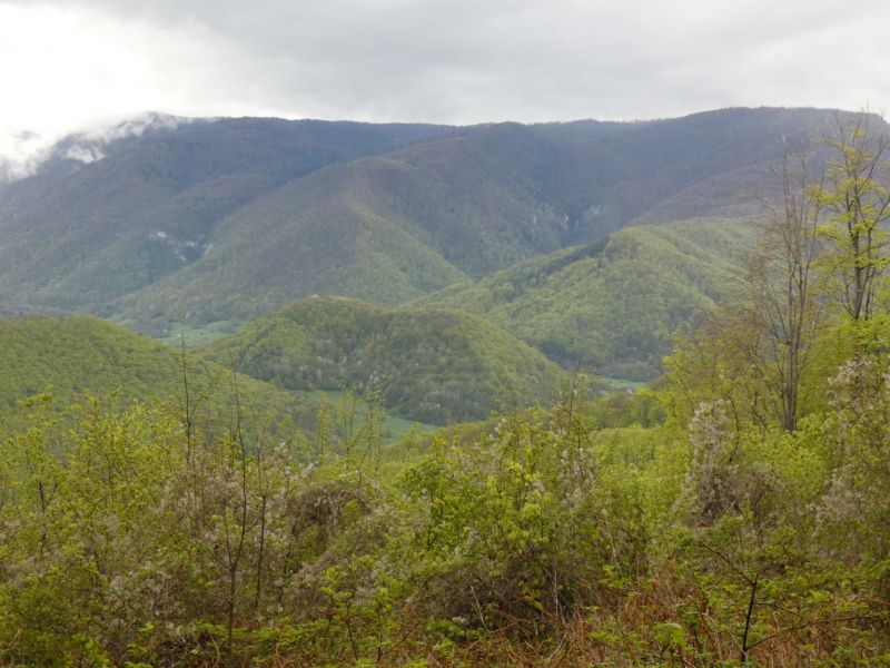Keď v lese pracovalo veľa ľudí z Muráňa: Objavené stopy po ich práci na strmých svahoch pri schádzaní z Muránskej planiny