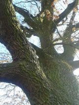 Ilustračn&eacute; foto Jozef Marko