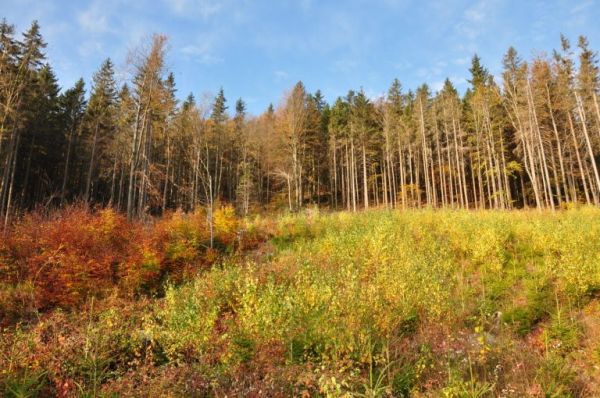 Ilustračn&eacute; foto: Internetov&aacute; str&aacute;nka V&Uacute;LHM 