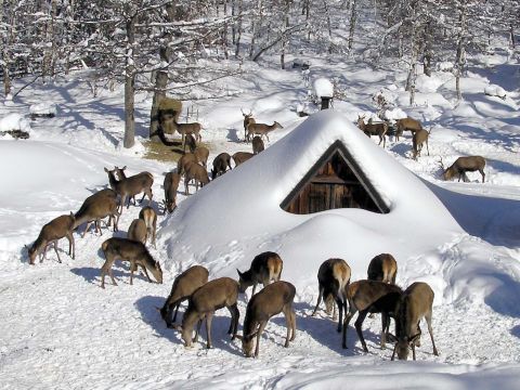 Zdroj: Internetová stránka Lesy ČR