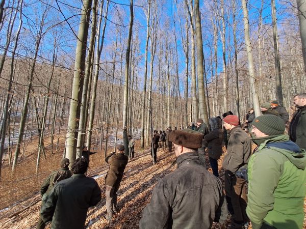 Zdroj: Internetová stránka Lesy ČR