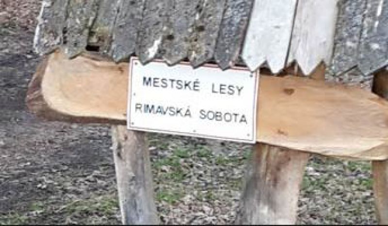 Mesto vyhlási súťaž na predaj dreva