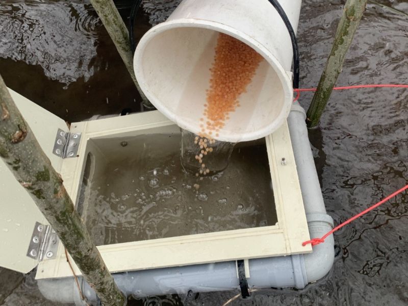 Zdroj: FB str&aacute;nka Lesy ČR &scaron;. p. 