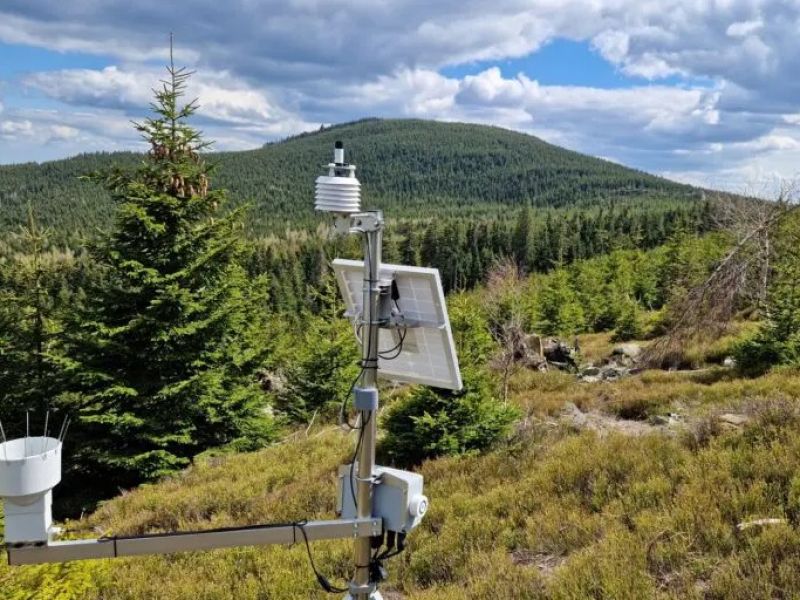 Lesnícky výskum o dočasnom odlesnení spôsobenom podkôrnikovou kalamitou: Nevedie k vysychaniu krajiny