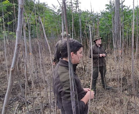 Zdroj: Internetová stránka Lesy ČR