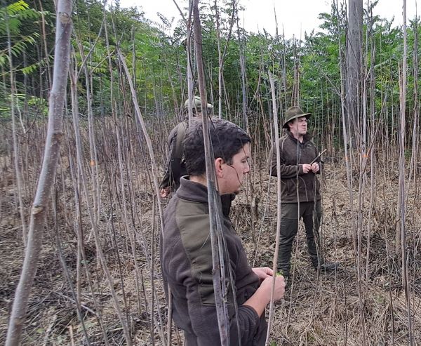 Zdroj: Internetová stránka Lesy ČR