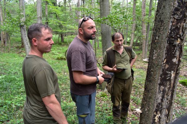 Juraj Galko z NLC (v strede) a miestni lesníci Patrik Kozák a Štefan Balog pri prvotnom šetrení poškodenia bukov vo Vihorlatských vrchoch 