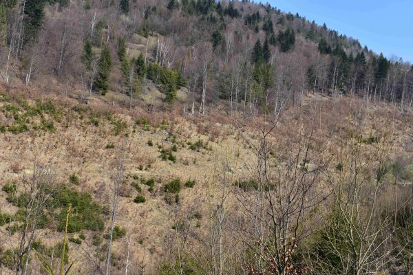 Ilustračné foto: Jozef Marko 