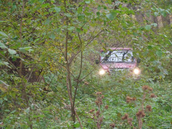 Ilustračn&eacute; foto