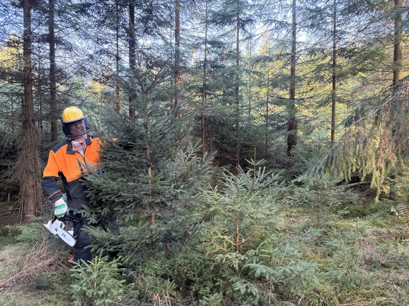 Zdroj: Internetová stránka LESY SR 