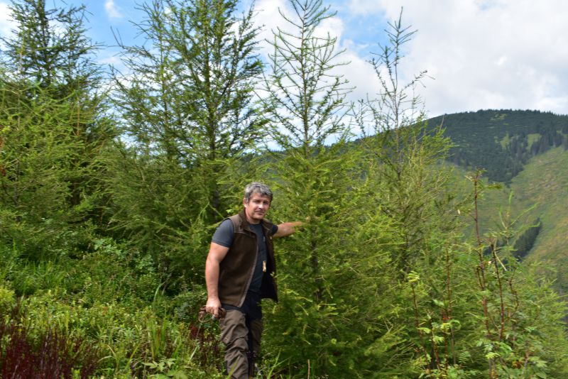 Odborný lesný hospodár Ing. Róbert Gombárik prezentuje výsledky lesníckej práce na obnove kalamitných plôch pri Vyšnej Boci