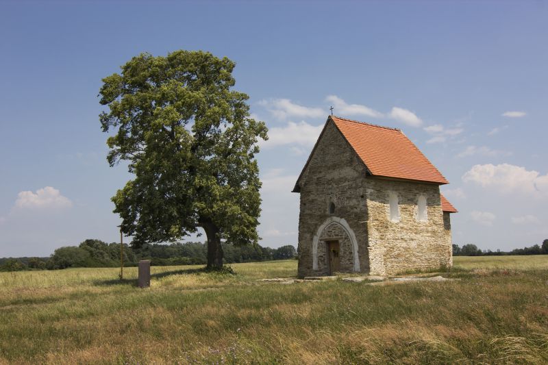 Slovenským stromom roka je lipa