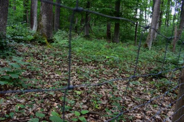 Ilustračn&eacute; foto Jozef Marko