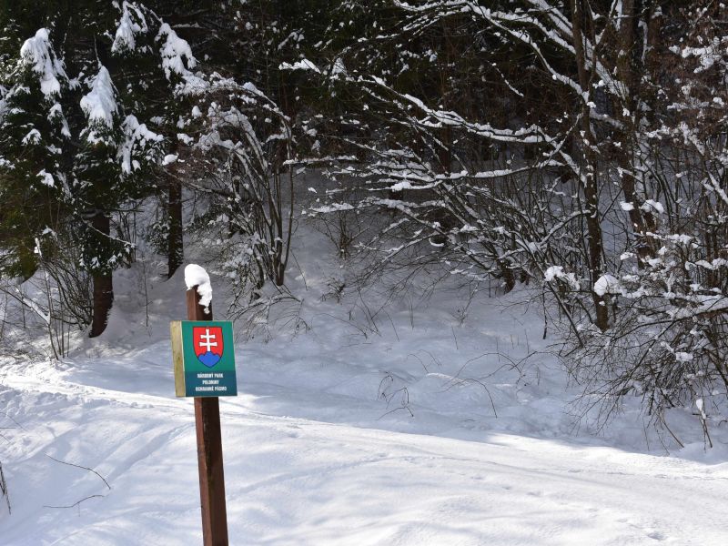 Ilustračné foto: Jozef Marko 