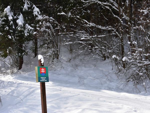 Ilustračné foto: Jozef Marko 