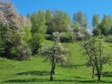 Kolorit krajiny Rusínov v Starinskej a Uličskej doline 