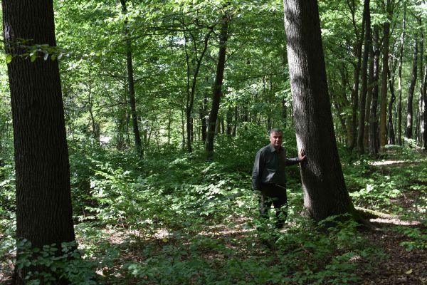 Ing. Pavel Mikluš v poraste na Bankove na POlesí Lesopark Mestských lesov Košice 