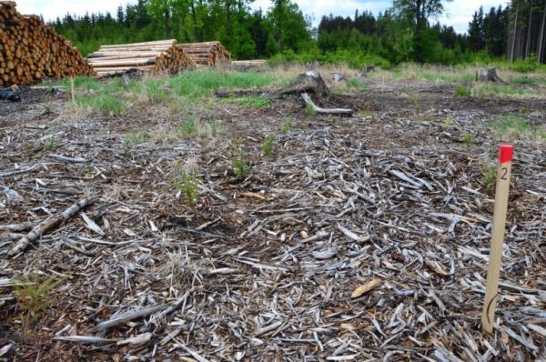 Ilustračné foto: VÚLHM 