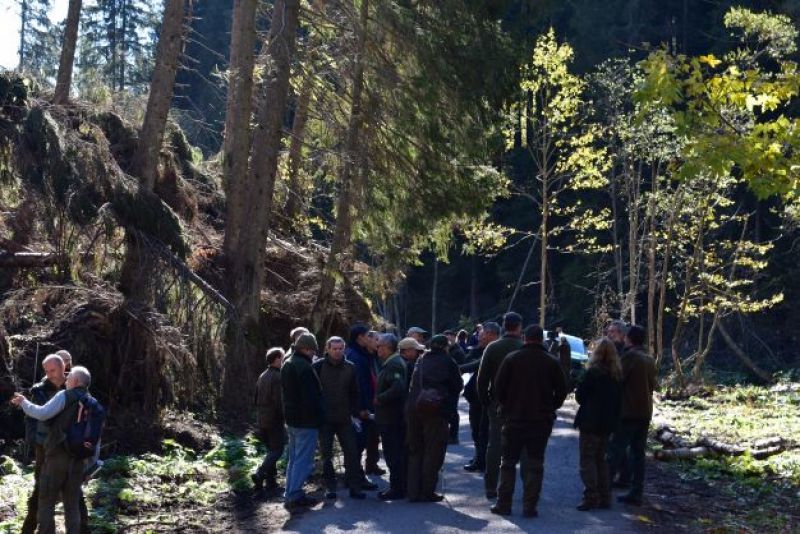 Lesnícki odborníci, ktorí chcú spracovať vetrovú kalamitu na Čiernom Váhu a zachrániť pred lykožrútom okolité zdravé lesy. v Národnom parku Nízke Tatry. Aj oni sú nepriatelia?! 
