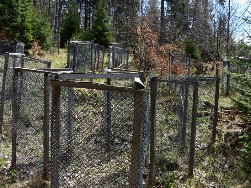 Ilustračn&eacute; foto: Jozef Marko 