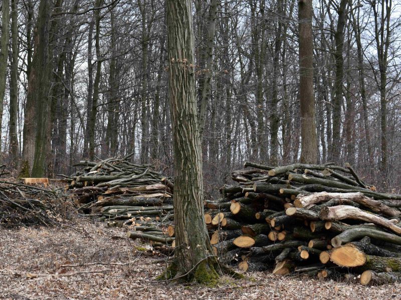 Ilustračné foto: Jozef Marko 