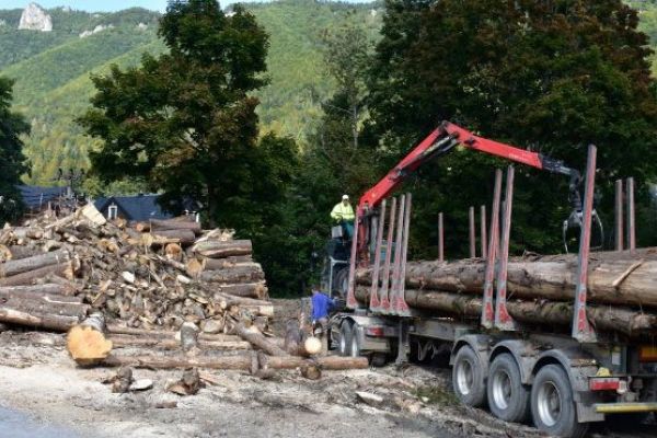 Ilustračn&eacute; foto Jozef Marko