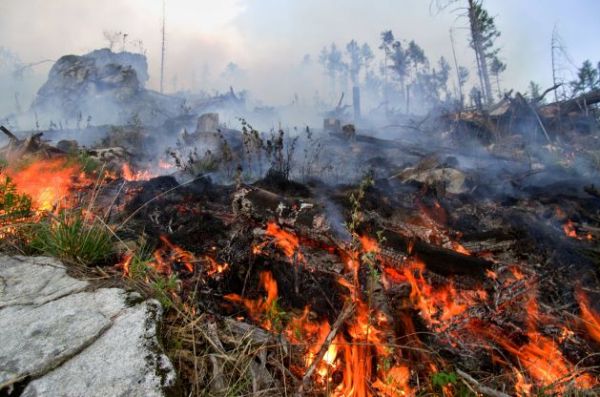 Ilustračné foto: Ing. Ján Slivinský 